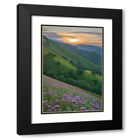 Caliente Bodfish I Black Modern Wood Framed Art Print with Double Matting by Geistweite, Mark
