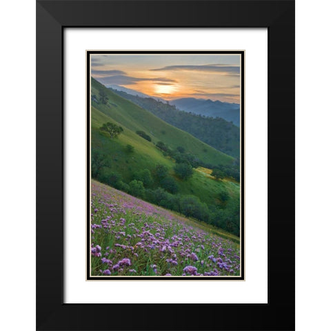 Caliente Bodfish I Black Modern Wood Framed Art Print with Double Matting by Geistweite, Mark