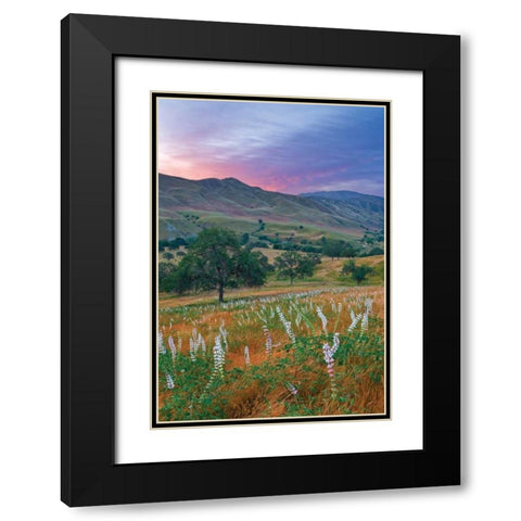 Caliente Bodfish II Black Modern Wood Framed Art Print with Double Matting by Geistweite, Mark
