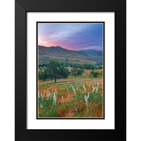 Caliente Bodfish II Black Modern Wood Framed Art Print with Double Matting by Geistweite, Mark