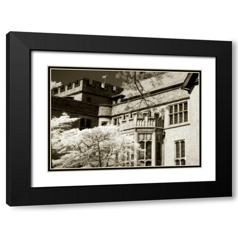 Tudor Mansion II Black Modern Wood Framed Art Print with Double Matting by Hausenflock, Alan
