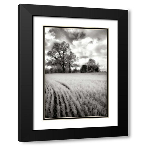Stormy Skies II Black Modern Wood Framed Art Print with Double Matting by Hausenflock, Alan