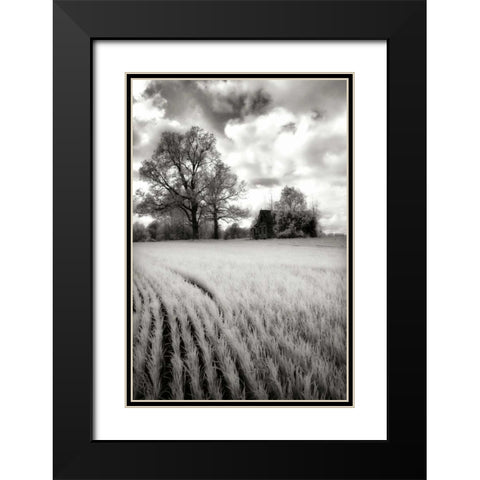 Stormy Skies II Black Modern Wood Framed Art Print with Double Matting by Hausenflock, Alan