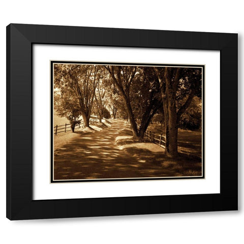 Ash Lawn II Black Modern Wood Framed Art Print with Double Matting by Hausenflock, Alan