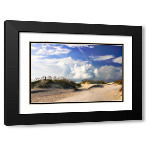 Summer Dunes I Black Modern Wood Framed Art Print with Double Matting by Hausenflock, Alan