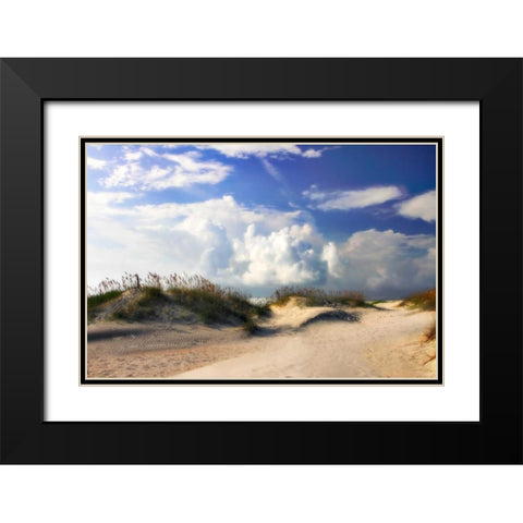 Summer Dunes I Black Modern Wood Framed Art Print with Double Matting by Hausenflock, Alan