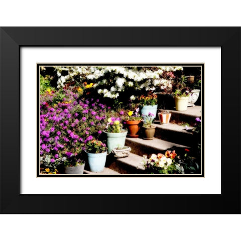 Sidewalk Spring II Black Modern Wood Framed Art Print with Double Matting by Hausenflock, Alan