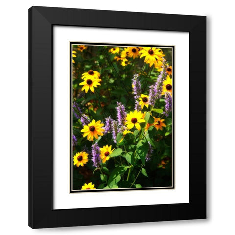 Summer Glory I Black Modern Wood Framed Art Print with Double Matting by Hausenflock, Alan
