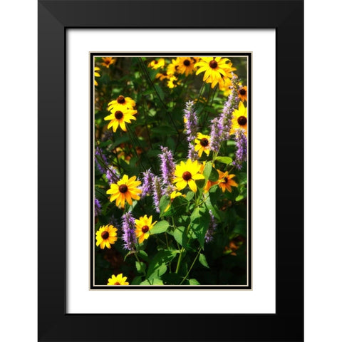 Summer Glory I Black Modern Wood Framed Art Print with Double Matting by Hausenflock, Alan