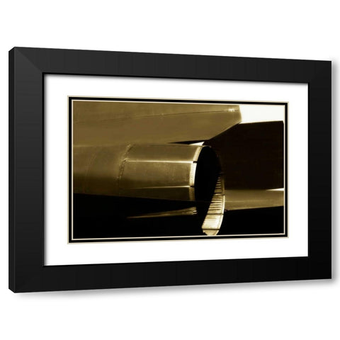 Blackbird II Black Modern Wood Framed Art Print with Double Matting by Hausenflock, Alan