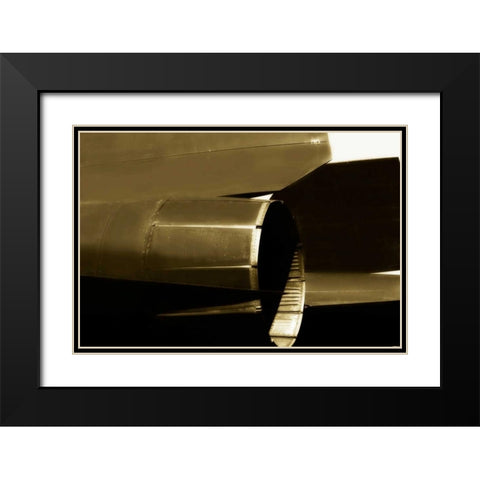 Blackbird II Black Modern Wood Framed Art Print with Double Matting by Hausenflock, Alan
