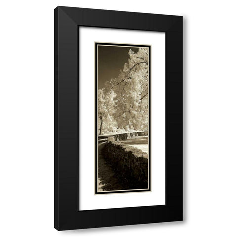 Seminary Wall Panel Black Modern Wood Framed Art Print with Double Matting by Hausenflock, Alan