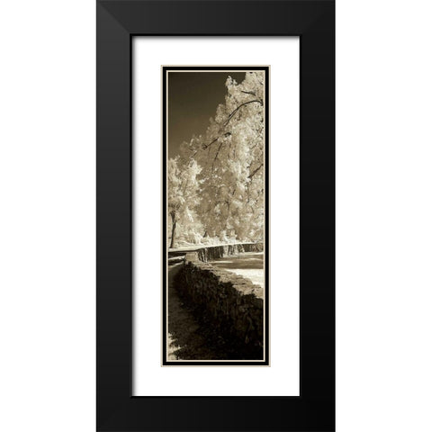 Seminary Wall Panel Black Modern Wood Framed Art Print with Double Matting by Hausenflock, Alan