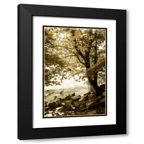 By the River Wide I Black Modern Wood Framed Art Print with Double Matting by Hausenflock, Alan