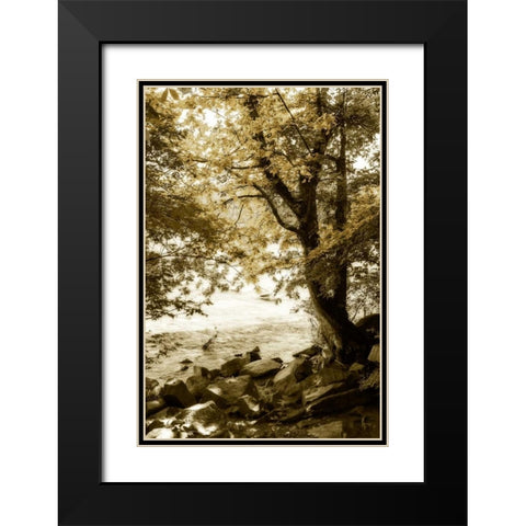By the River Wide I Black Modern Wood Framed Art Print with Double Matting by Hausenflock, Alan