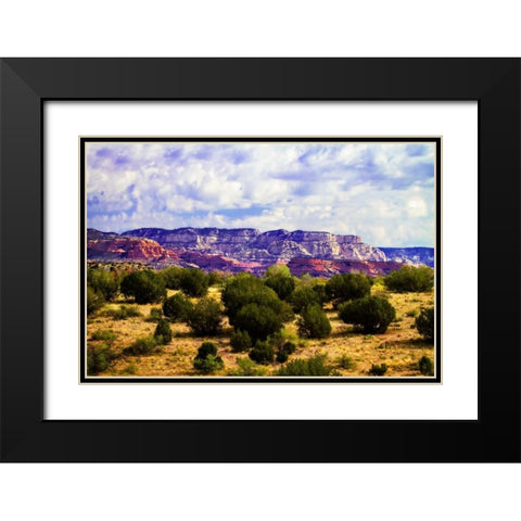 The High Desert I Black Modern Wood Framed Art Print with Double Matting by Hausenflock, Alan