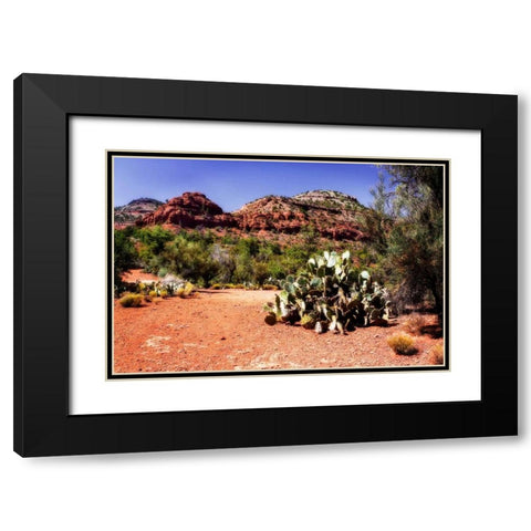 High Desert I Black Modern Wood Framed Art Print with Double Matting by Hausenflock, Alan