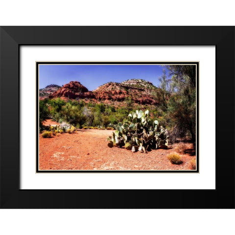 High Desert I Black Modern Wood Framed Art Print with Double Matting by Hausenflock, Alan