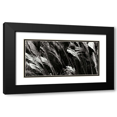 Wind Dancers I Black Modern Wood Framed Art Print with Double Matting by Hausenflock, Alan