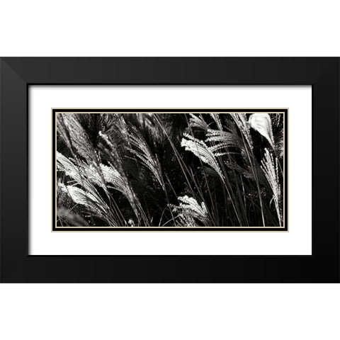 Wind Dancers I Black Modern Wood Framed Art Print with Double Matting by Hausenflock, Alan
