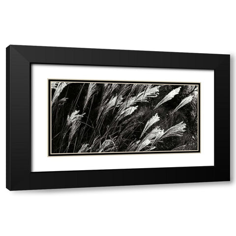 Wind Dancers II Black Modern Wood Framed Art Print with Double Matting by Hausenflock, Alan