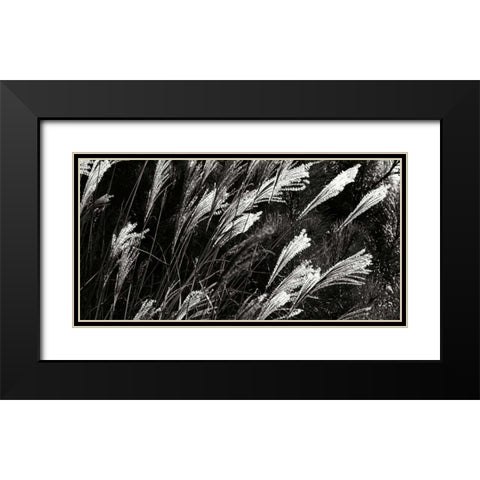 Wind Dancers II Black Modern Wood Framed Art Print with Double Matting by Hausenflock, Alan