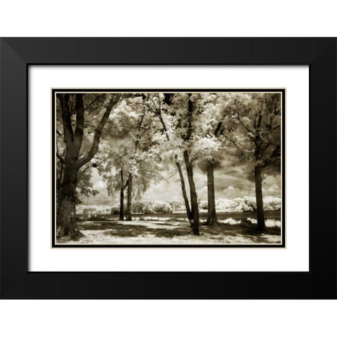Cobb Island Channel I Black Modern Wood Framed Art Print with Double Matting by Hausenflock, Alan