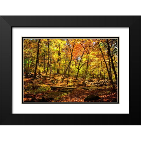 Picnic Perfect I Black Modern Wood Framed Art Print with Double Matting by Hausenflock, Alan