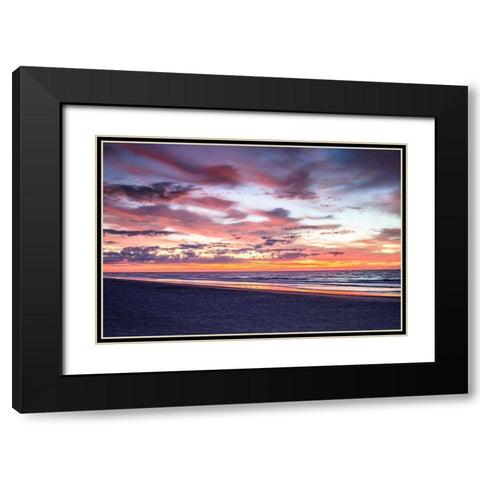 Gulls on the Shore I Black Modern Wood Framed Art Print with Double Matting by Hausenflock, Alan