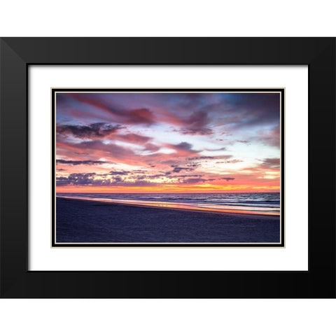 Gulls on the Shore I Black Modern Wood Framed Art Print with Double Matting by Hausenflock, Alan