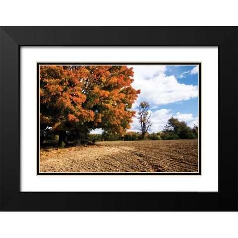 Autumn Scene II Black Modern Wood Framed Art Print with Double Matting by Hausenflock, Alan