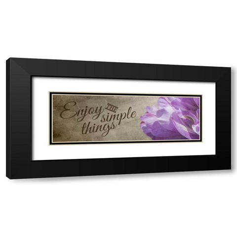 Simple Things Black Modern Wood Framed Art Print with Double Matting by Hausenflock, Alan