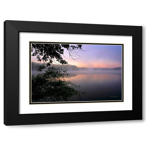 Shelley Lake Fog Black Modern Wood Framed Art Print with Double Matting by Hausenflock, Alan