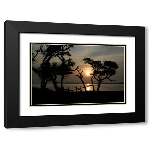 Beaufort I Black Modern Wood Framed Art Print with Double Matting by Hausenflock, Alan