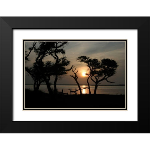 Beaufort I Black Modern Wood Framed Art Print with Double Matting by Hausenflock, Alan