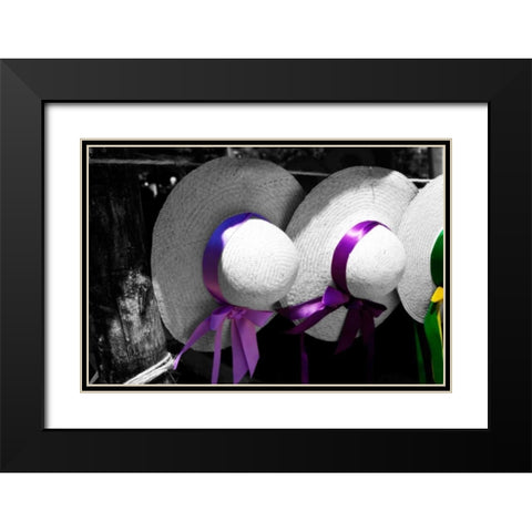 Fancy Hats II Black Modern Wood Framed Art Print with Double Matting by Hausenflock, Alan
