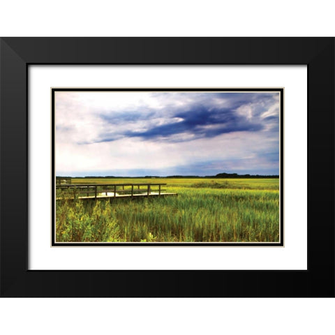 Marshland Storm I Black Modern Wood Framed Art Print with Double Matting by Hausenflock, Alan