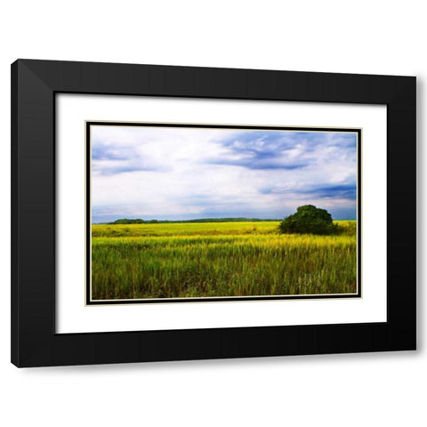 Marshland Storm II Black Modern Wood Framed Art Print with Double Matting by Hausenflock, Alan
