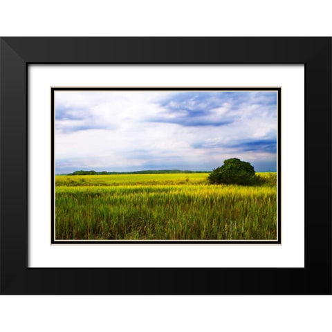 Marshland Storm II Black Modern Wood Framed Art Print with Double Matting by Hausenflock, Alan