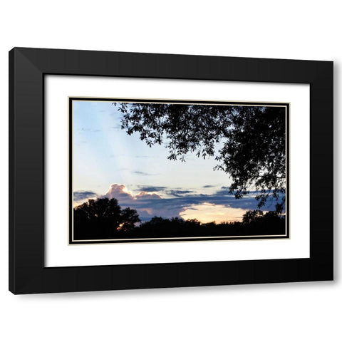 Sunset Through the Trees I Black Modern Wood Framed Art Print with Double Matting by Hausenflock, Alan
