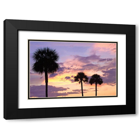 San Marcos Sunset IV Black Modern Wood Framed Art Print with Double Matting by Hausenflock, Alan