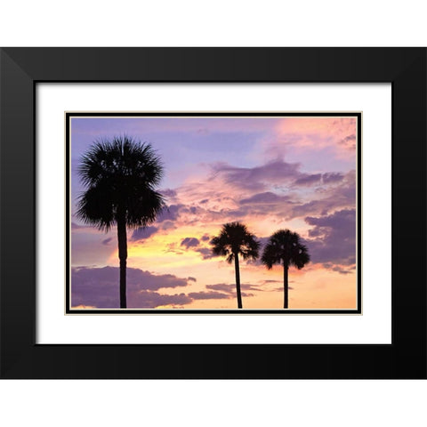 San Marcos Sunset IV Black Modern Wood Framed Art Print with Double Matting by Hausenflock, Alan
