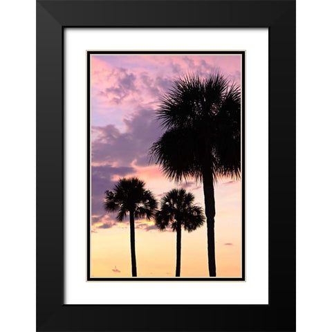 San Marcos Sunset VI Black Modern Wood Framed Art Print with Double Matting by Hausenflock, Alan