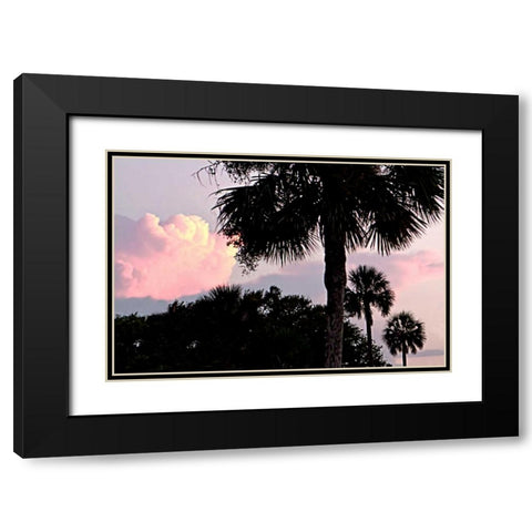 Days End II Black Modern Wood Framed Art Print with Double Matting by Hausenflock, Alan