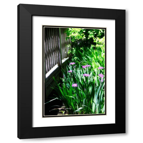 Spring Iris II Black Modern Wood Framed Art Print with Double Matting by Hausenflock, Alan
