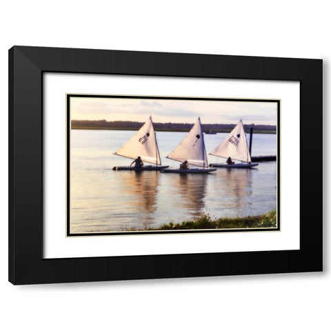 Three Sunfish I Black Modern Wood Framed Art Print with Double Matting by Hausenflock, Alan