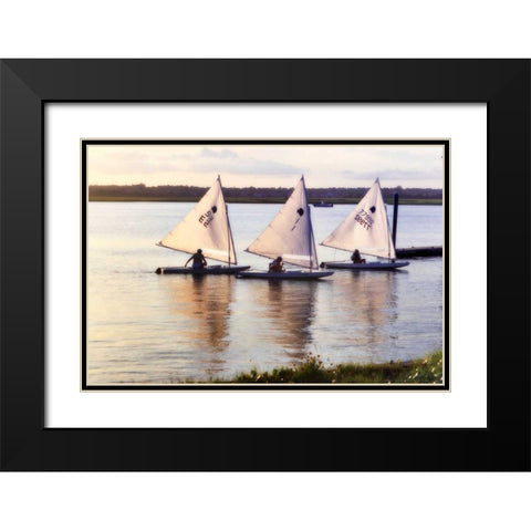 Three Sunfish I Black Modern Wood Framed Art Print with Double Matting by Hausenflock, Alan