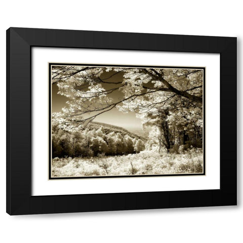 Swift Run Gap II Black Modern Wood Framed Art Print with Double Matting by Hausenflock, Alan