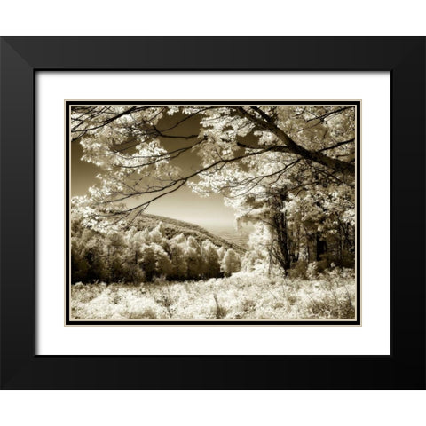 Swift Run Gap II Black Modern Wood Framed Art Print with Double Matting by Hausenflock, Alan