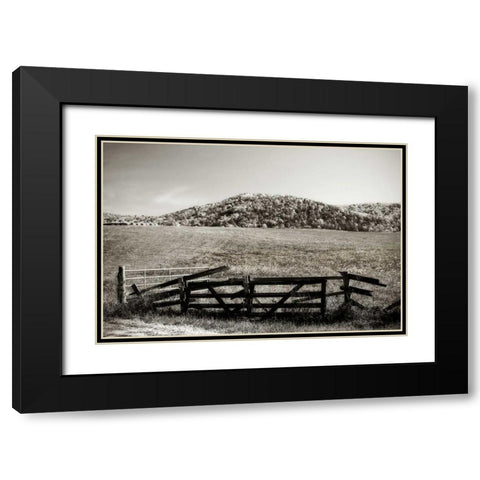 Autumn Pastures IV Black Modern Wood Framed Art Print with Double Matting by Hausenflock, Alan